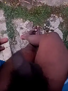 dolphiinn live sex cam