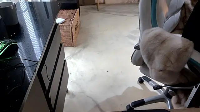 foxyroxymilf live sex cam