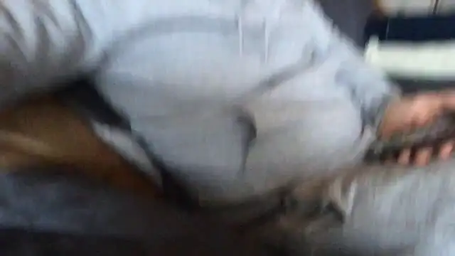 alex877x live sex cam