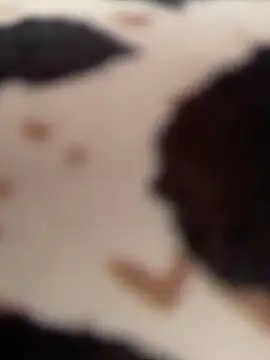 Eva_stark10 live sex cam