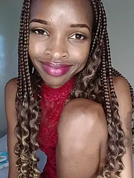 Nedambale's cam snapshot