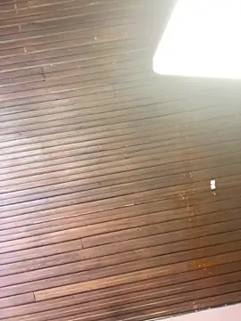 Adele_Pinkk's cam snapshot