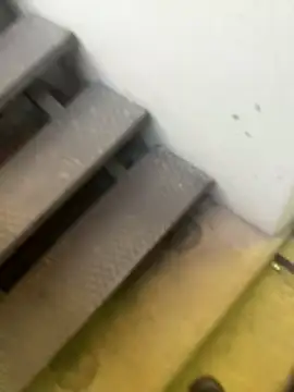 gptre's cam snapshot