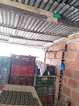 hoteder live sex cam