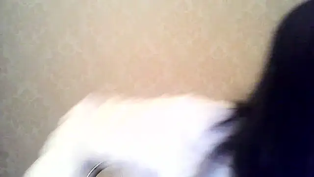 Kashtanka_'s cam snapshot