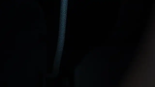 -AyeshaSinghania-'s cam snapshot