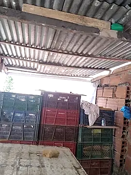 hoteder live sex cam