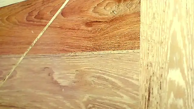 shannon_kinne_'s cam snapshot