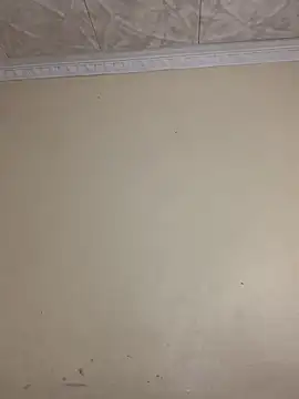 Lady-Amina live sex cam