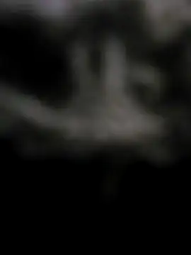 Bababuji2024's cam snapshot