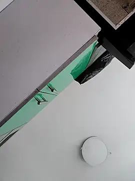 StornBunnyy_'s cam snapshot