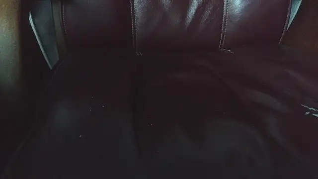 hairyandtiny's cam snapshot