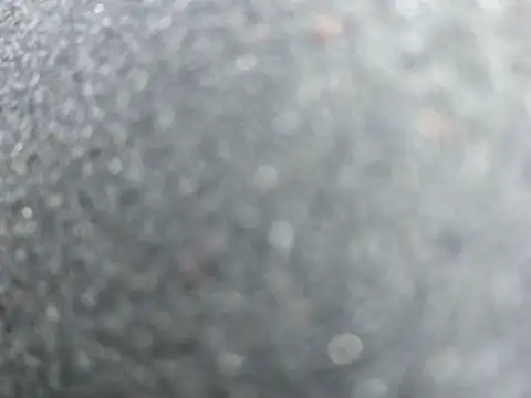 Roddog18 live sex cam