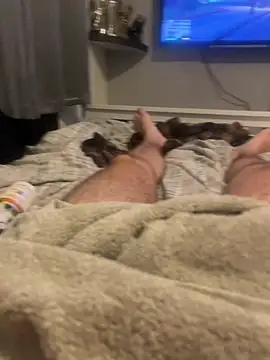 harrygeorge18 live sex cam