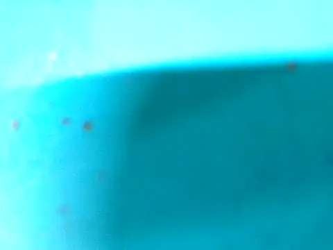 ROYALASS25's cam snapshot