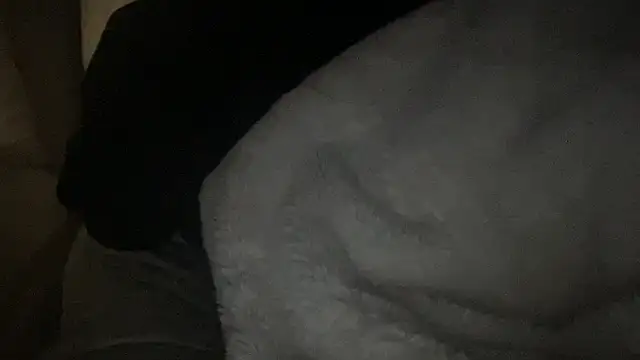 dddasani's cam snapshot