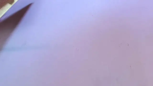 Eda_Bonne's cam snapshot