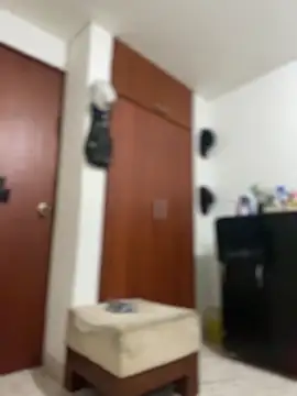 Carola-Ross's cam snapshot