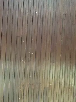 Jasmin_Pink's cam snapshot