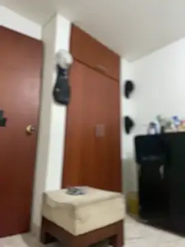 Carola-Ross's cam snapshot