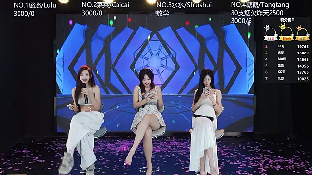 SK-001's cam snapshot