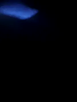 douglasdesouza22 live sex cam