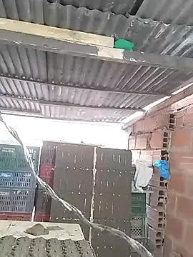 hoteder live sex cam