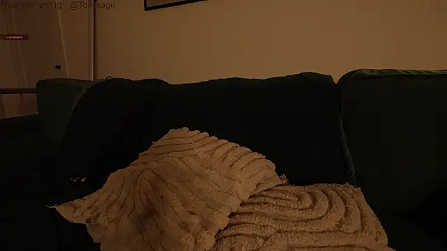 SenSage's cam snapshot