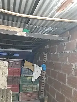 hoteder live sex cam