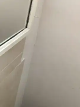 ed_Cj88 live sex cam