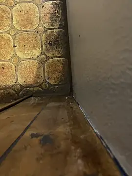 Nutsohard's cam snapshot