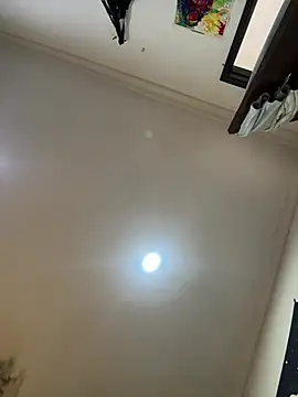 pawmistry's cam snapshot