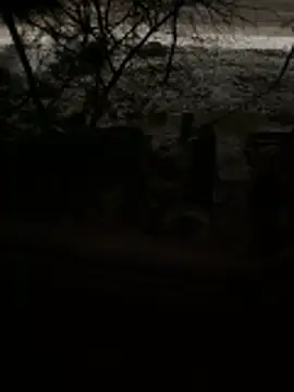 alexim87's cam snapshot