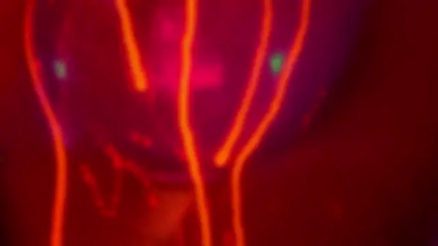 HeyBananas's cam snapshot