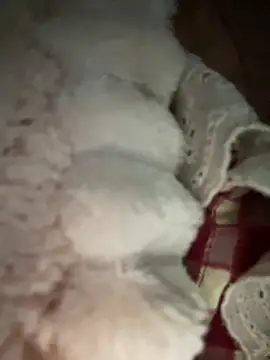 Mayly_lucky2's cam snapshot