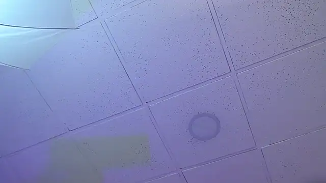 Dayaaan_'s cam snapshot