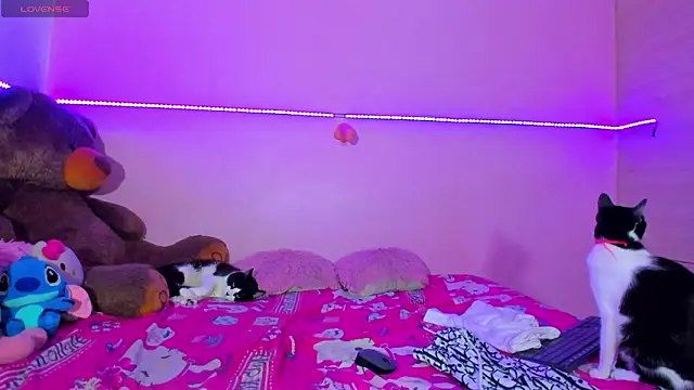 Canndy88htxx live sex cam