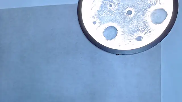 Morgan-82ws's cam snapshot