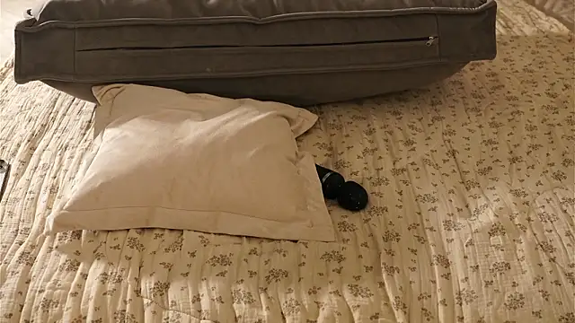 IdaJonesy live sex cam