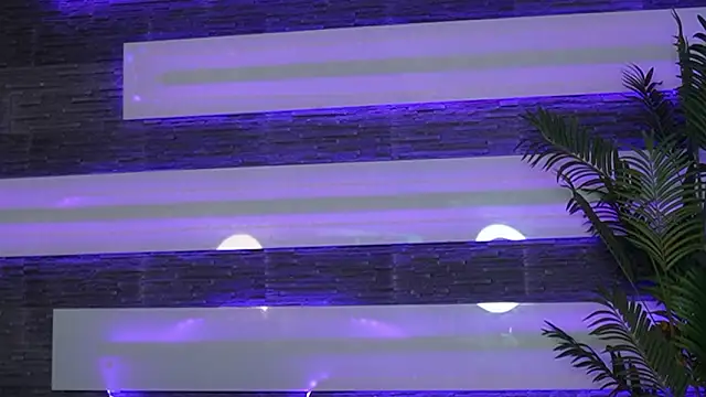 Miss_Denisse's cam snapshot