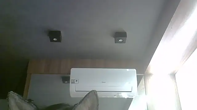 SkinnyKitten live sex cam