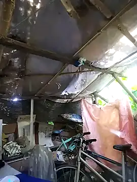 dianne_swift live sex cam