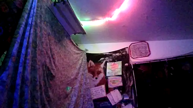 spunfoxxx's cam snapshot