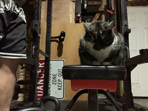 kumsars's cam snapshot