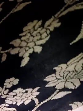 Daya_Chheda's cam snapshot