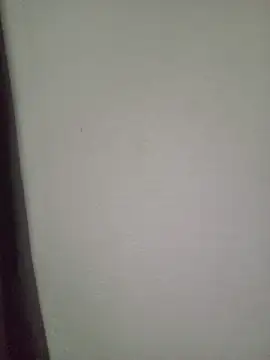 Kuromiunu's cam snapshot