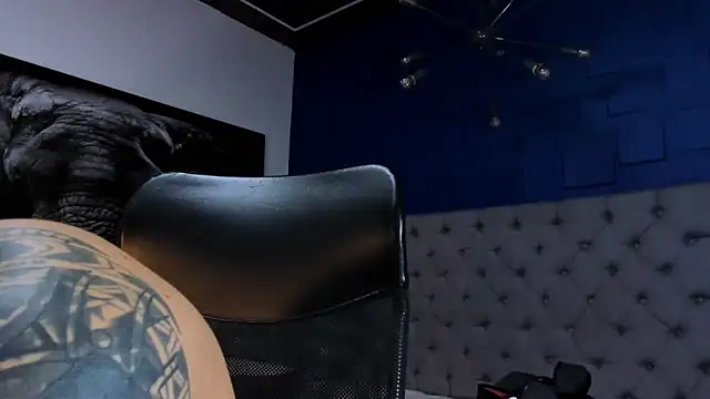 king_falconer's cam snapshot