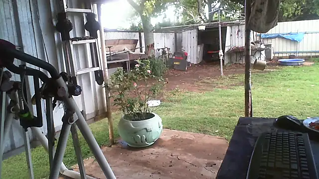 herbie010666 live sex cam