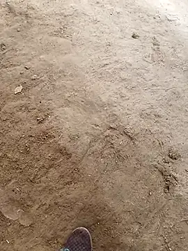 NextGenModel live sex cam