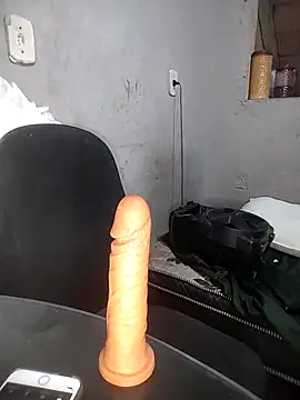 Meellcarioca's cam snapshot